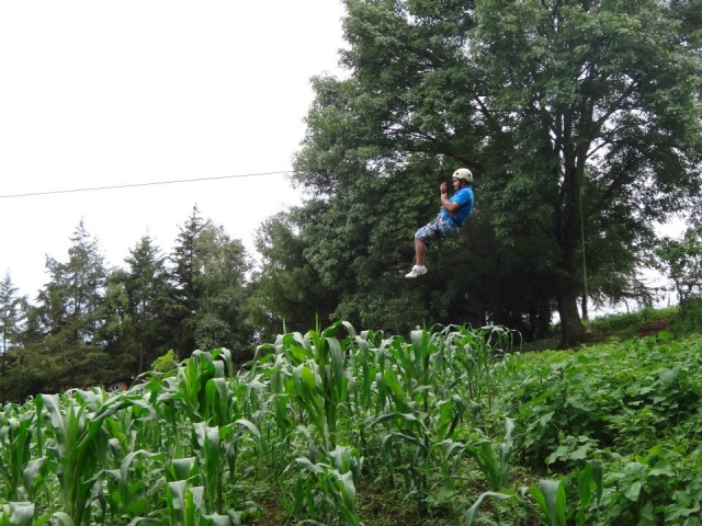 Volando sobre el campo